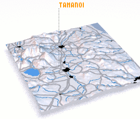 3d view of Tamanoi