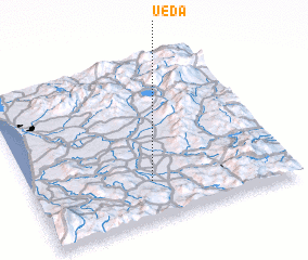 3d view of Ueda