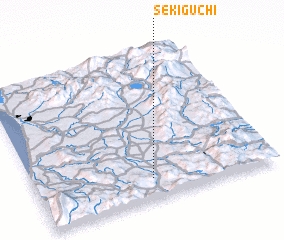 3d view of Sekiguchi