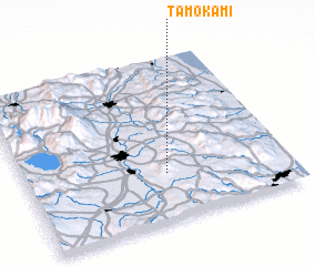 3d view of Tamokami