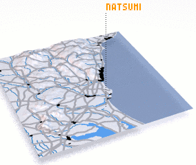 3d view of Natsumi