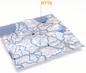 3d view of Nitta