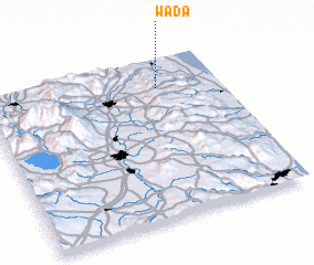 3d view of Wada