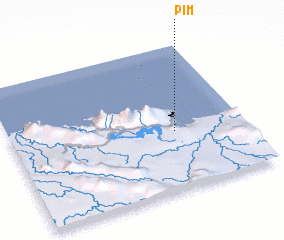 3d view of Pim