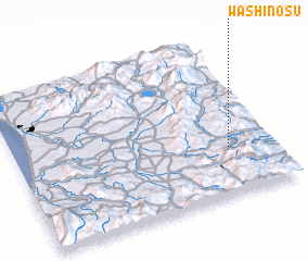 3d view of Washinosu