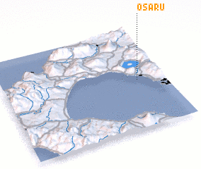 3d view of Osaru