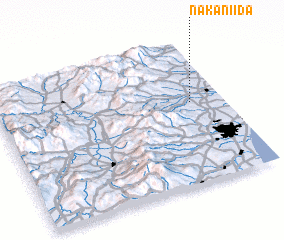 3d view of Naka-niida