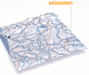 3d view of Washiaimori