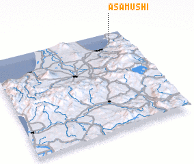 3d view of Asamushi