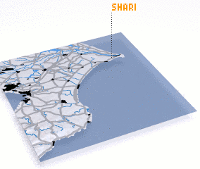 3d view of Shari