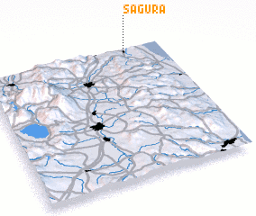 3d view of Sagura