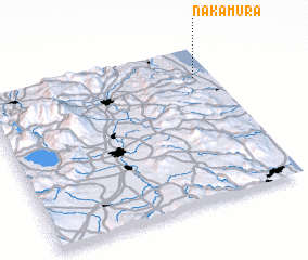 3d view of Nakamura