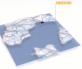3d view of Shiokubi