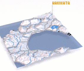 3d view of Wakikata