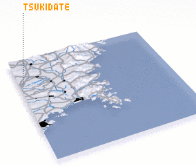 3d view of Tsukidate