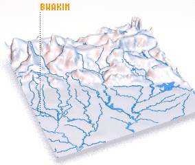 3d view of Bwakim