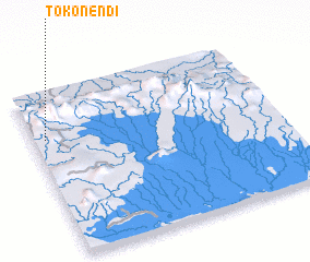 3d view of Tokonendi