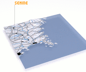 3d view of Semine