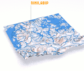 3d view of Nimilabip