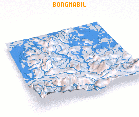 3d view of Bongmabil