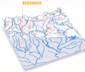 3d view of Berewogo