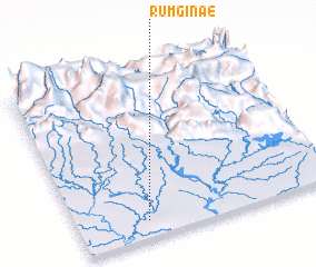 3d view of Rumginae