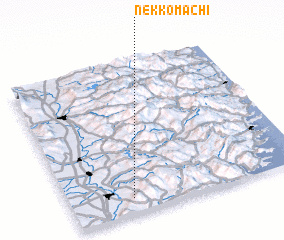 3d view of Nekkomachi