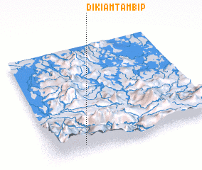 3d view of Dikiamtambip