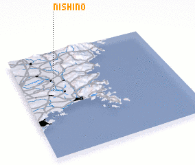 3d view of Nishino