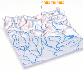 3d view of Somaebinkia