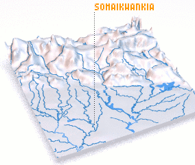 3d view of Somaikwankia