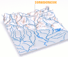 3d view of Somaidemasuk