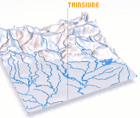 3d view of T\