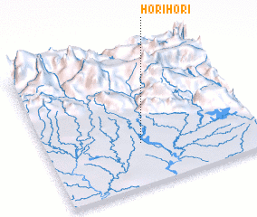 3d view of Horihori