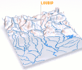 3d view of Loubip