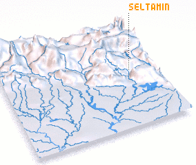 3d view of Seltamin