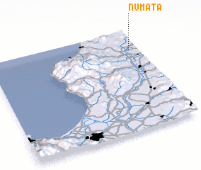 3d view of Numata