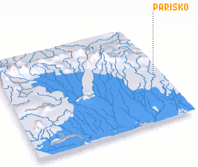 3d view of Parisko