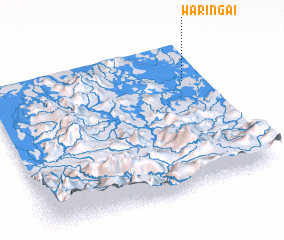3d view of Waringai