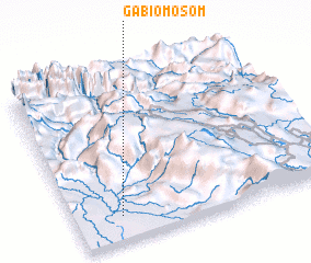 3d view of Gabiomosom