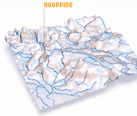 3d view of Hoop Pine