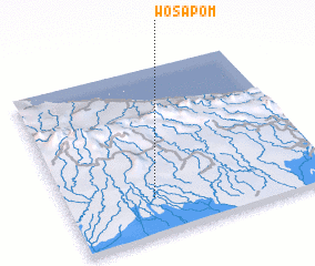 3d view of Wosapom