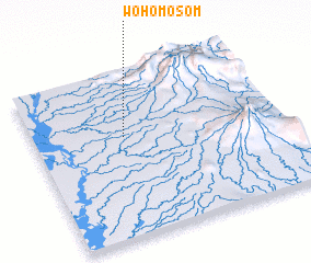 3d view of Wohomosom