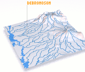 3d view of Debromosom