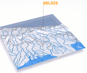 3d view of Woloso