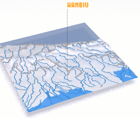 3d view of Wambiu