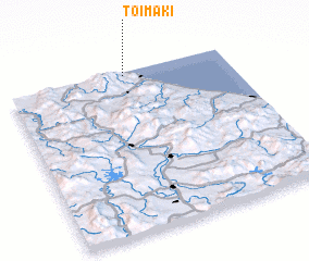 3d view of Toimaki