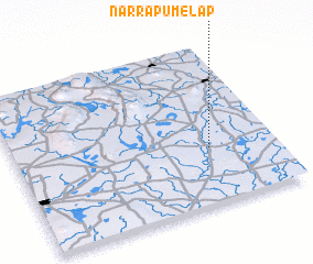 3d view of Narrapumelap