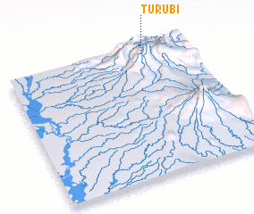 3d view of Turubi