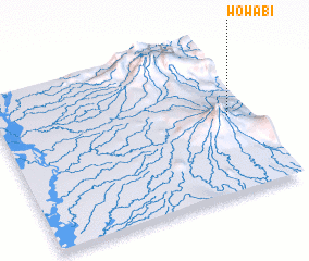 3d view of Wowabi